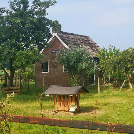 Trekkershut - Tiny House - Hikers Cottage Wijster Bagian luar foto
