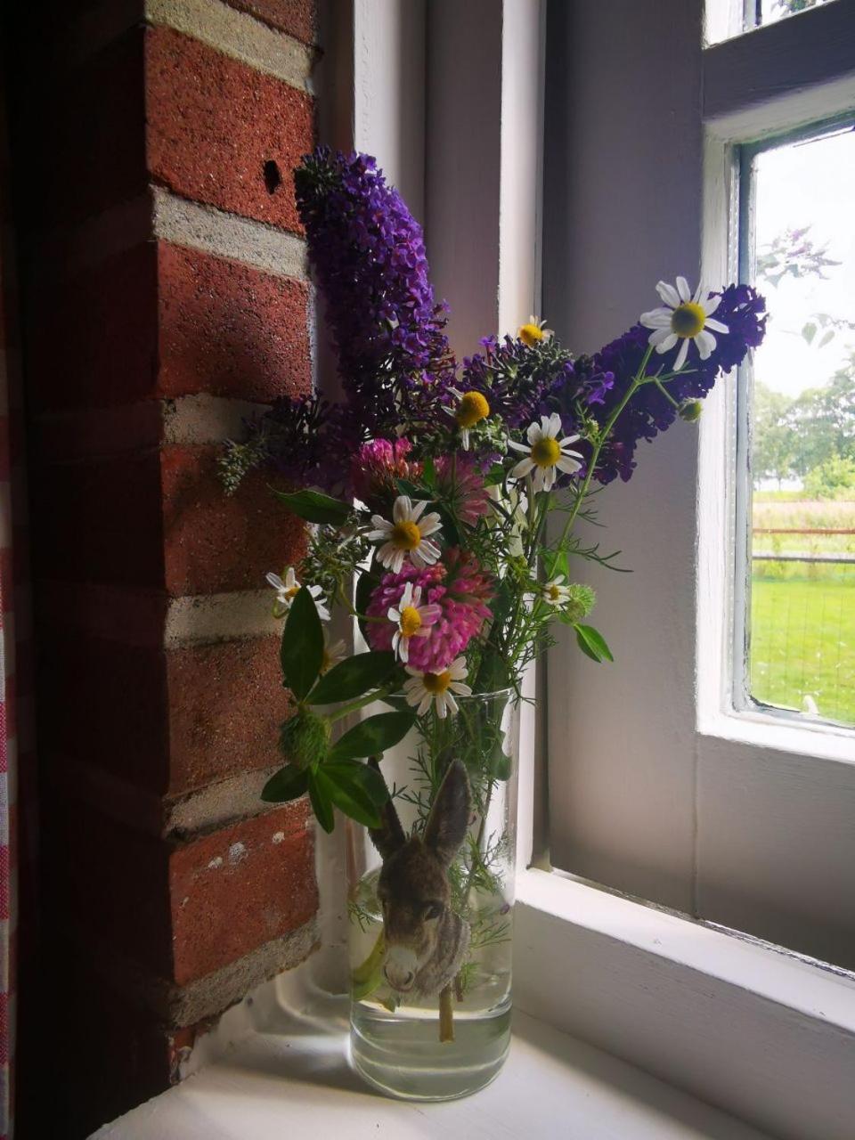 Trekkershut - Tiny House - Hikers Cottage Wijster Bagian luar foto